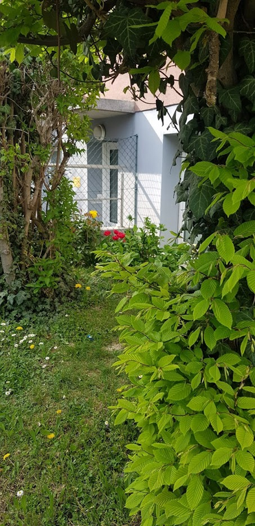 nature